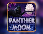 Panther Moon